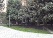 会所花园 2室1厅 西 西北