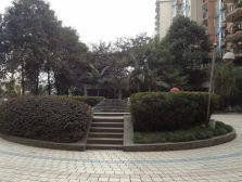 会所花园 2室2厅 南