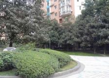 会所花园 2室1厅 西南