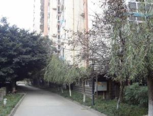 会所花园1室1厅西南