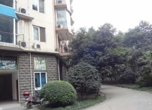 会所花园3室2厅西南