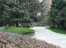 会所花园2室1厅南北