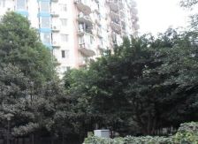 会所花园3室2厅北