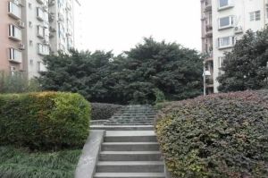 会所花园3室2厅南