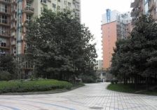 会所花园 3室2厅 南