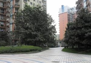 会所花园3室1厅西南