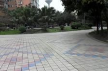 会所花园 2室2厅 东南