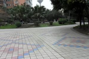 会所花园3室1厅南