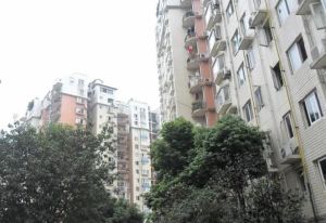 会所花园2室1厅西北