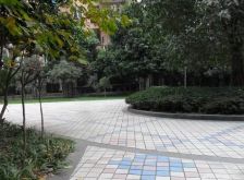 会所花园 3室2厅 东南