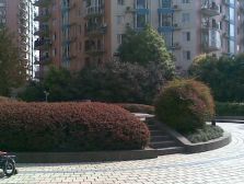 会所花园 3室1厅 东南