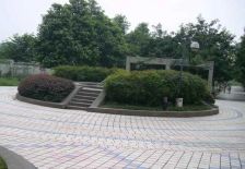 会所花园3室2厅东南