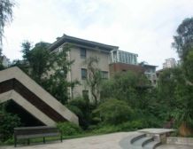 春天大道 3室2厅 东南