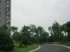 春天大道 3室2厅 东