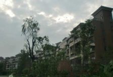 春天大道 3室1厅 东南