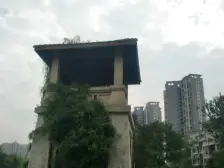 春天大道 3室2厅 南 北