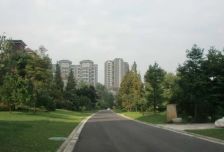 春天大道 3室2厅 南