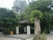 春天大道 5室1厅 北