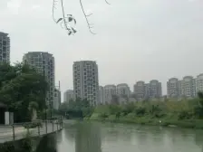 春天大道 4室2厅 南