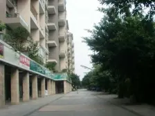 春天大道 4室2厅 西南