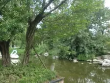 春天大道 5室2厅 南