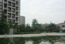 春天大道 4室1厅 东南 南