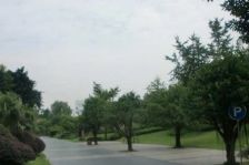 春天大道 6室3厅 南