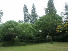 春天大道 3室2厅 东南