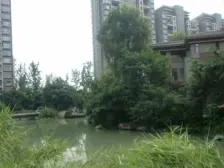 春天大道 3室2厅 南