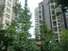 春天大道 3室2厅 南 北