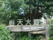 春天大道 3室2厅 西南