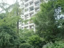 春天大道 2室2厅 南