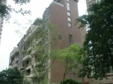 春天大道 3室2厅 东南