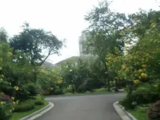 春天大道 3室2厅 南