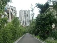 春天大道 3室1厅 东南