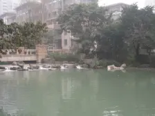 春天大道 2室1厅 南