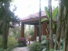 春天大道 5室2厅 西南