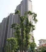 纯毛坯装修自己可以随性发挥,大四房户型房东诚意出售