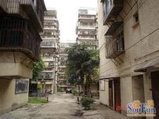 南湖花园(仓山区) 2室1厅 南