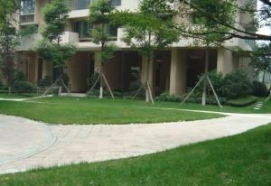 万科朗润园 3室2厅 东