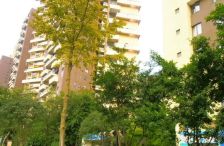 万科朗润园3室1厅东