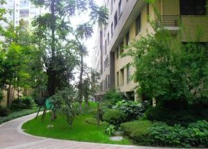 万科朗润园 3室1厅 东