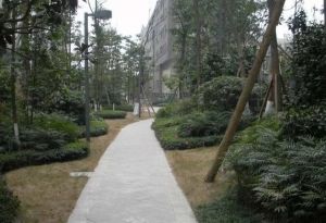 万科朗润园2室1厅东南