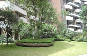 万科朗润园 3室1厅 东南