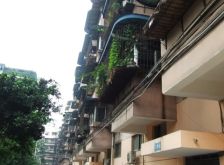 锦里西路113号2室1厅西南东北