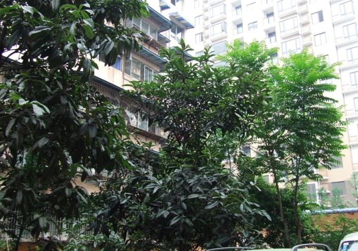 小区相关图