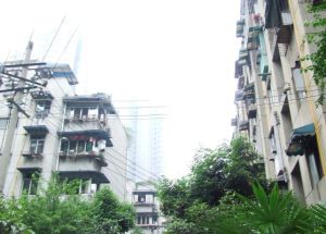 正府街111号2室1厅东南