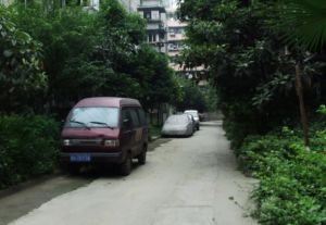 正府街28号2室2厅东南