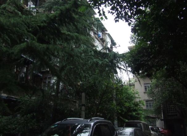 鼓楼北三街32号院实景图