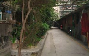 玉泉名居3室1厅东南